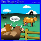 Breast enhancement cartoon