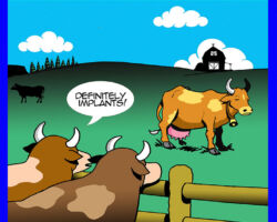 Breast enhancement cartoon